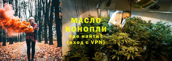 тгк Гусь-Хрустальный