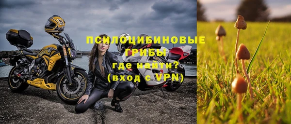 тгк Гусь-Хрустальный