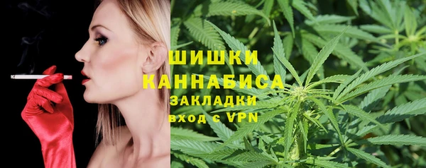 трава Гусев