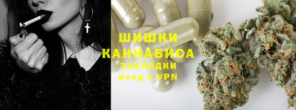 трава Гусев