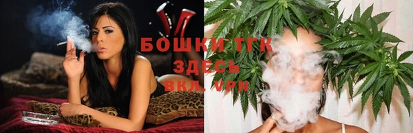 тгк Гусь-Хрустальный
