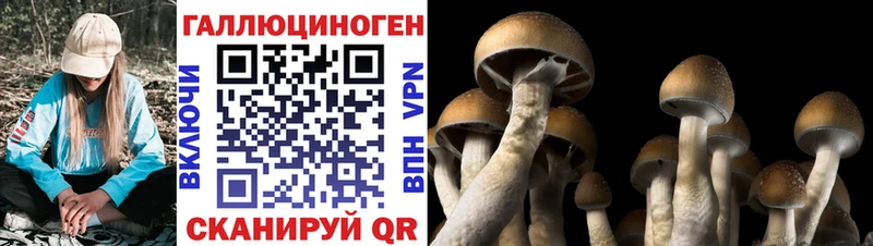 блэк спрут маркетплейс  Завитинск  Галлюциногенные грибы мухоморы  как найти закладки 